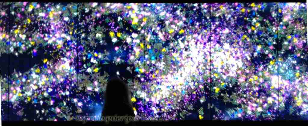 Flowers and People-Dark, TEAMLAB | ENJOY Chiostro del Bramante