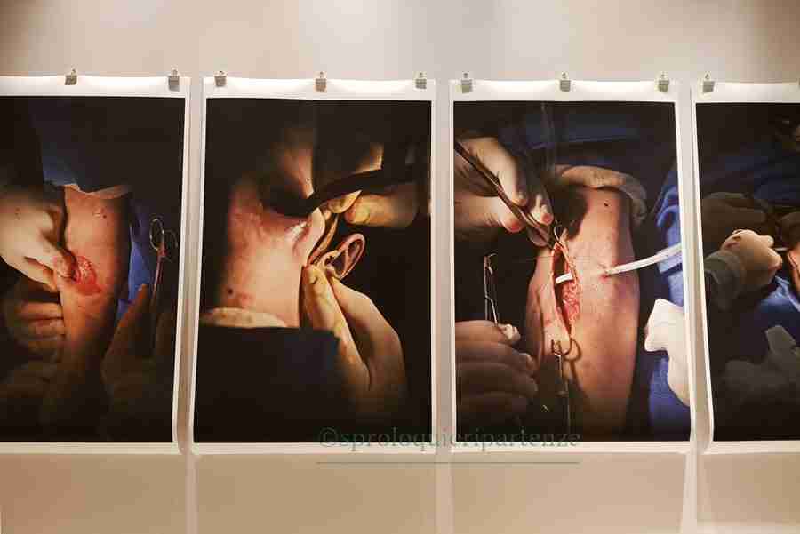 Human+mostra a roma