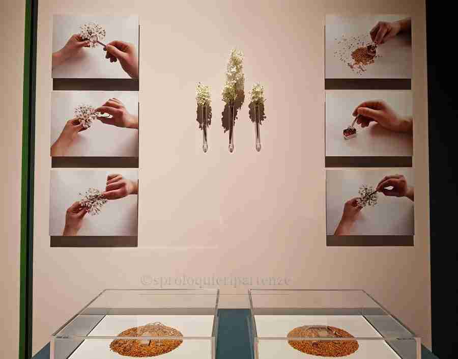 Human+mostra a roma