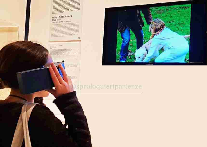 Human+mostra a roma