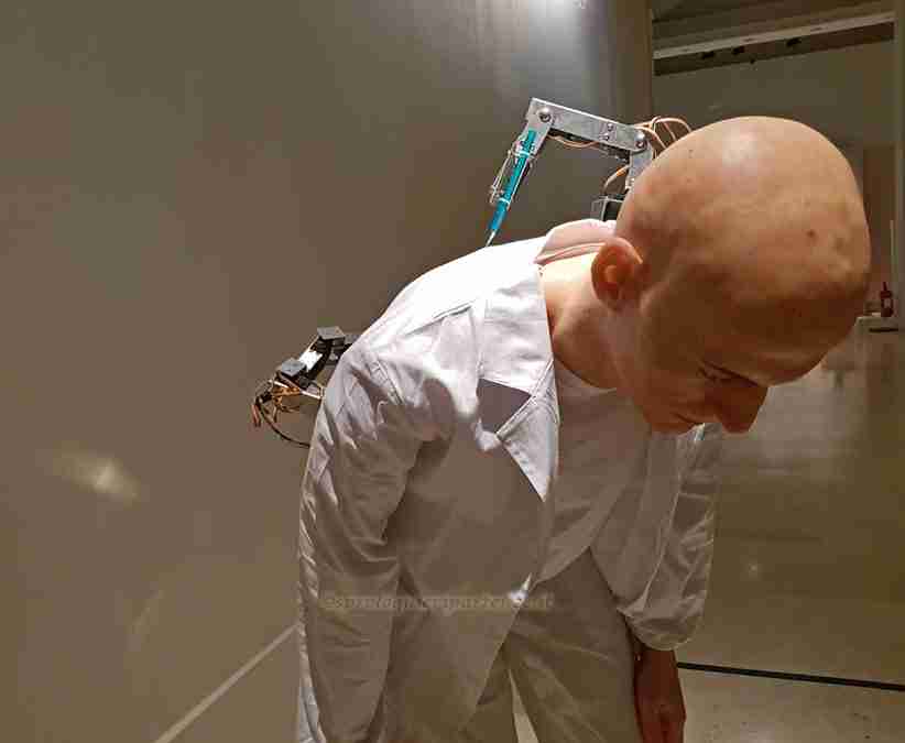 Human+mostra a roma